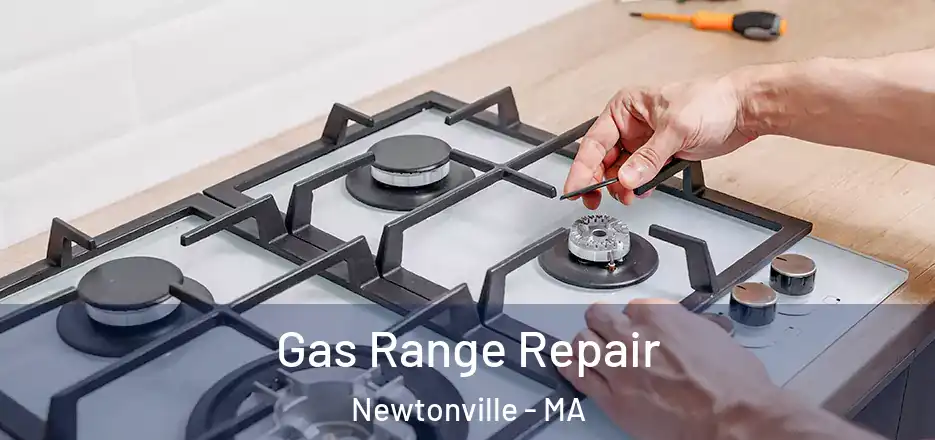 Gas Range Repair Newtonville - MA