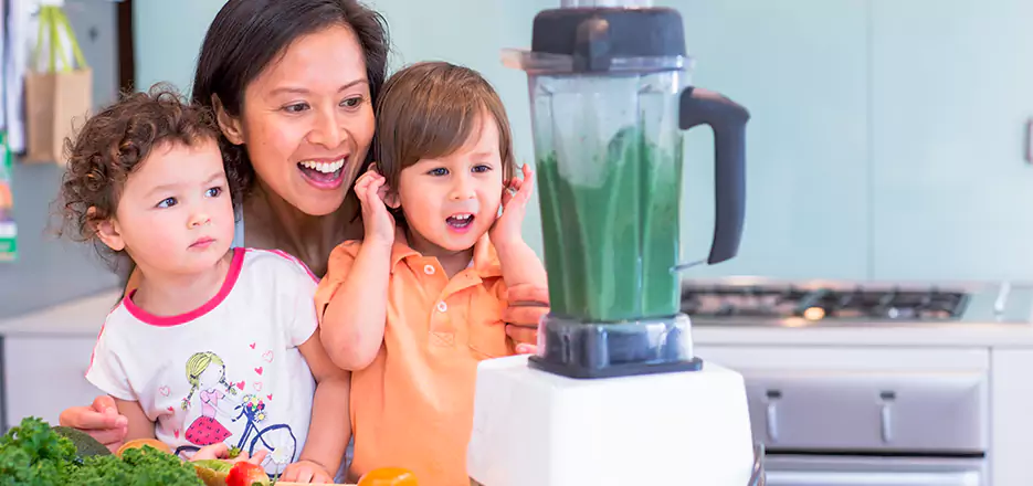 Juicer and Mixer Blender Repair in Newtonville