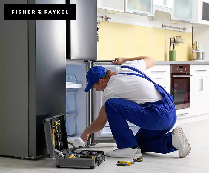 Top-Rated Fisher & Paykel Appliance Experts: Your Brand Specialist in Newtonville, MA